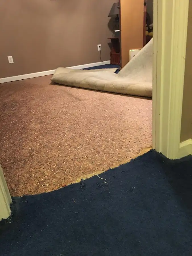 Carpet pad removal revealing water damage during Water Mitigation Services in Craig