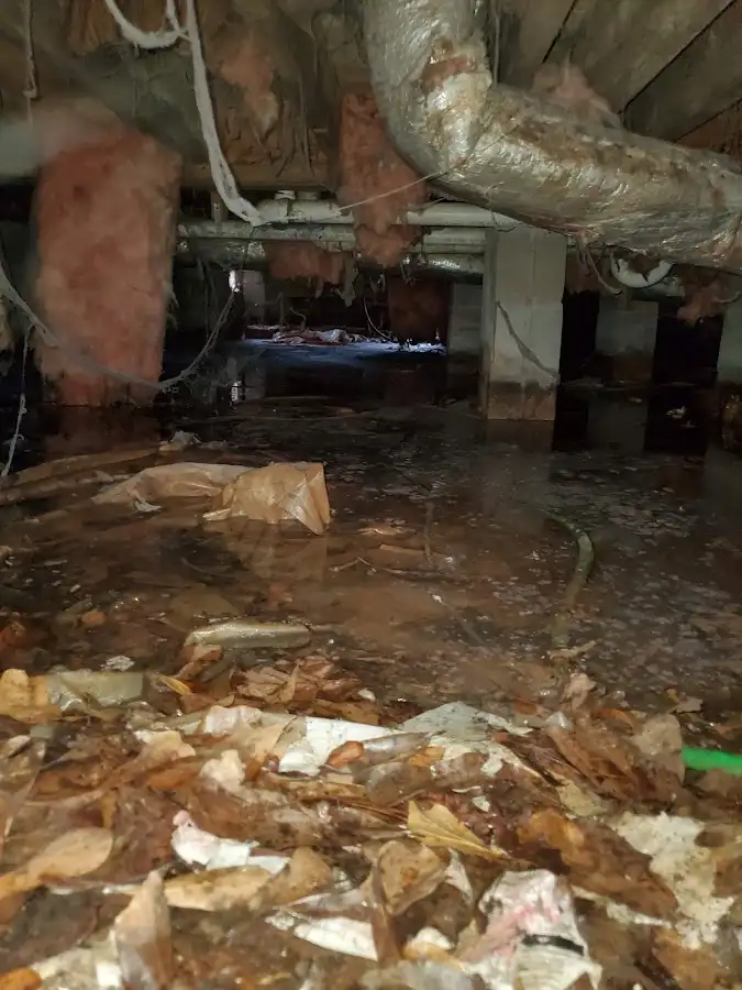Crawl space flood assessment for Leak Detection & Repair in Craig