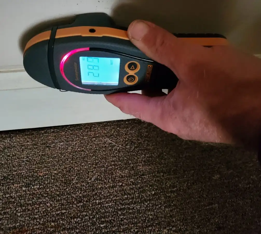Moisture detection at baseboard during Burst Pipe Cleanup in Craig